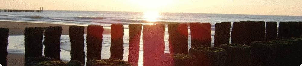 image003a